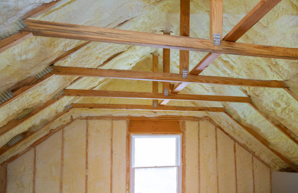 Professional Insulation Contractor in SC